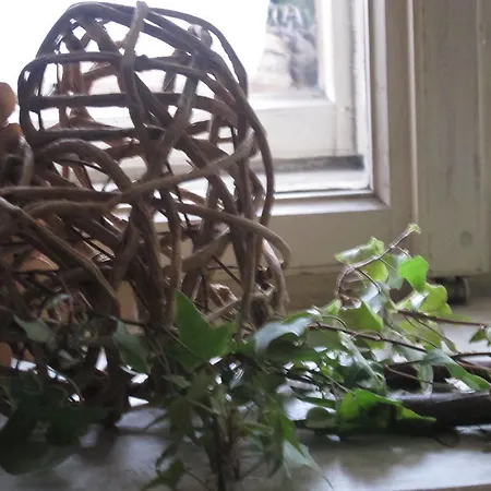 Bed & Breakfast Boderhof Leutasch