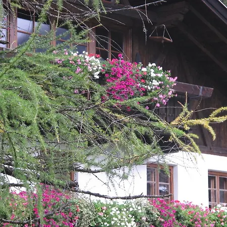 Frühstückspension Boderhof 3*